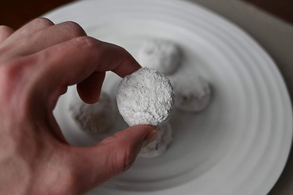 Image of a hand holding one pecan meltaway cookie close to the camera.