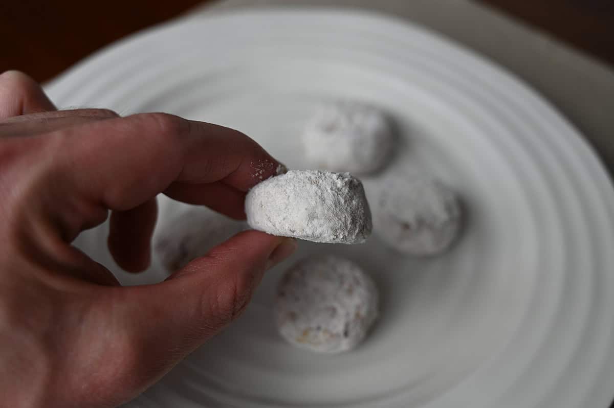 Image of a hand holding one pecan meltaway close to the camera on it's side so you can see the size and shape of the cookie.