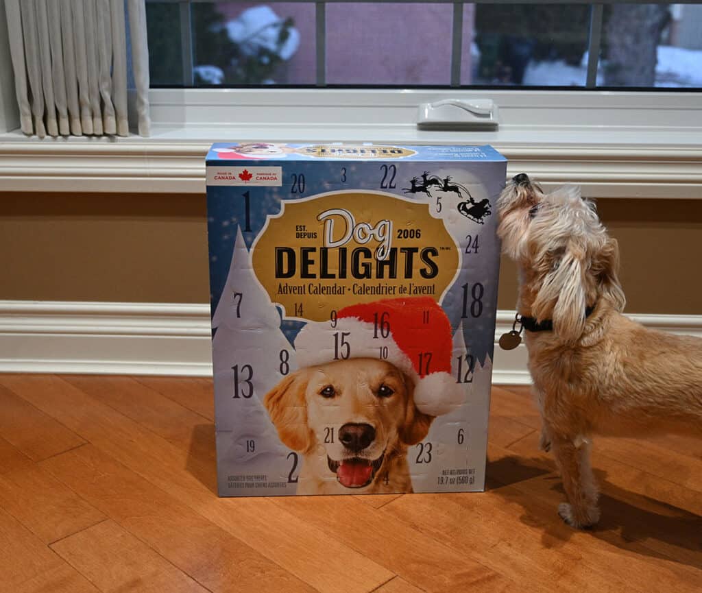 Costco Dog Delights Advent Calendar Review Costcuisine