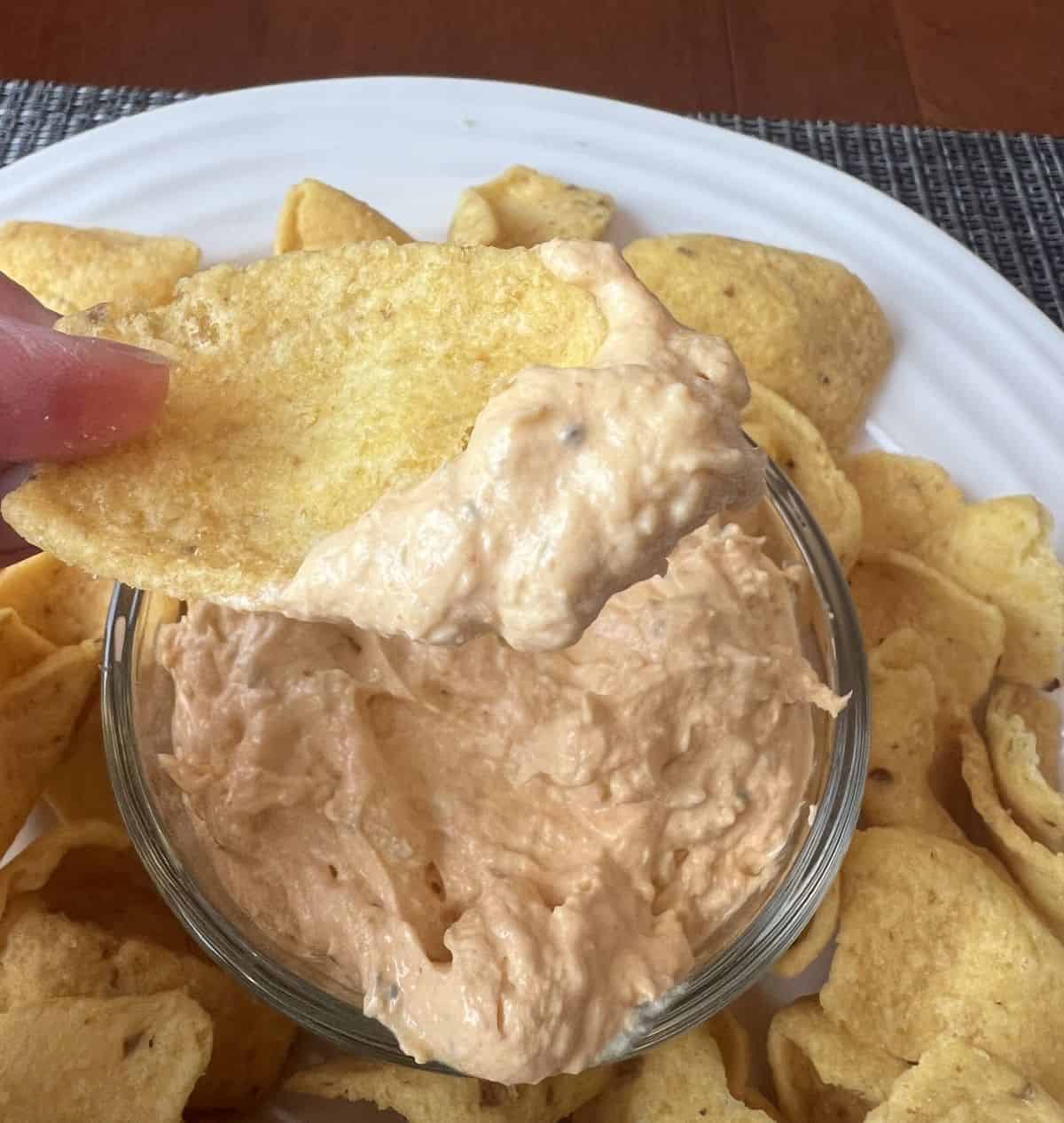 Close image of a chip with dip on it hovering over a bowl of dip and plate of tortilla chips.