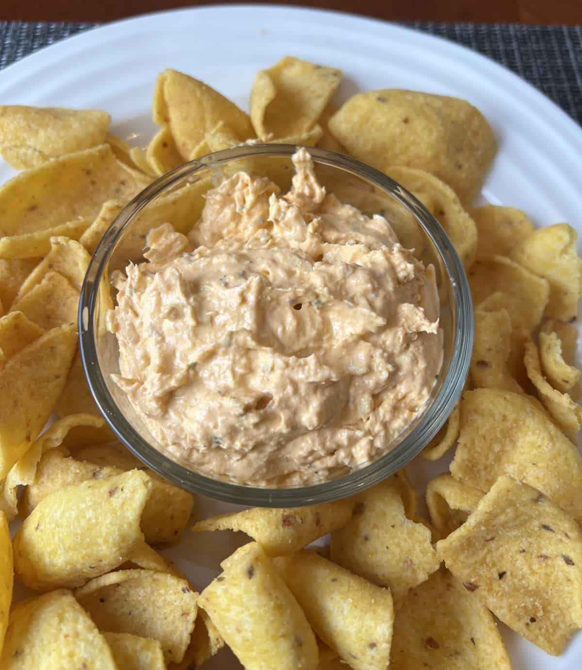 Closeup image of a bowl of dip with tortilla chips surrounding the bowl of dip.