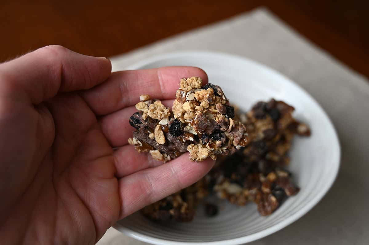 Closeup image of a hand holding one oat based granola cluster with dried blueberries snapper.