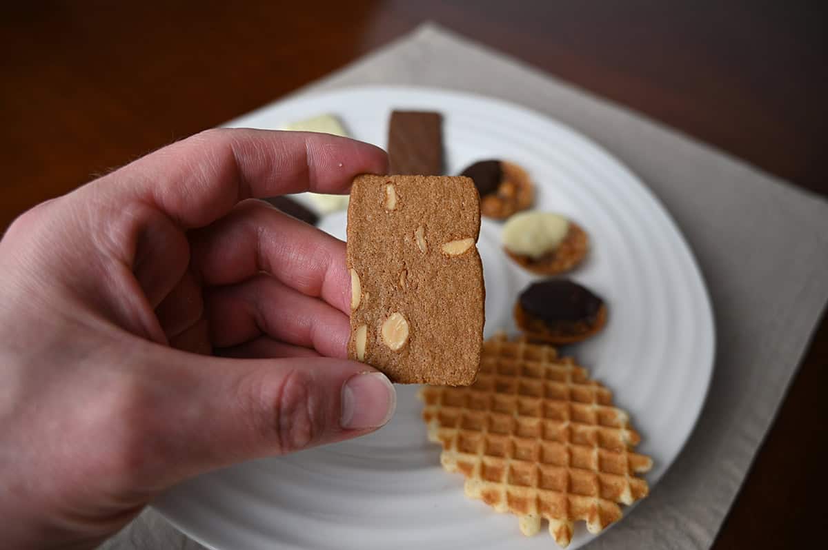 Image of a hand holding one almond thin close to the camera.