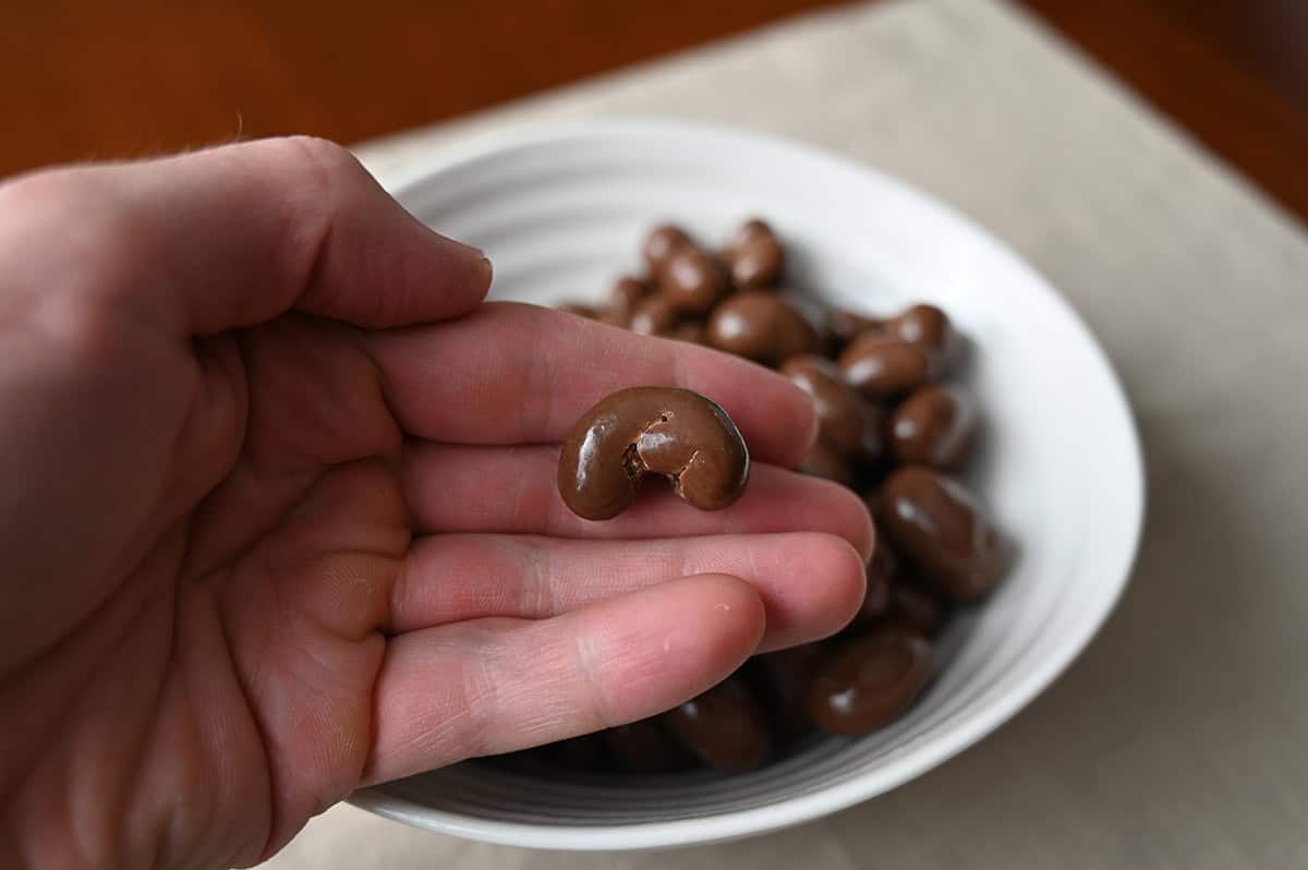 Closeup image of a hand holding one chocolate covered cashew close to the camera.