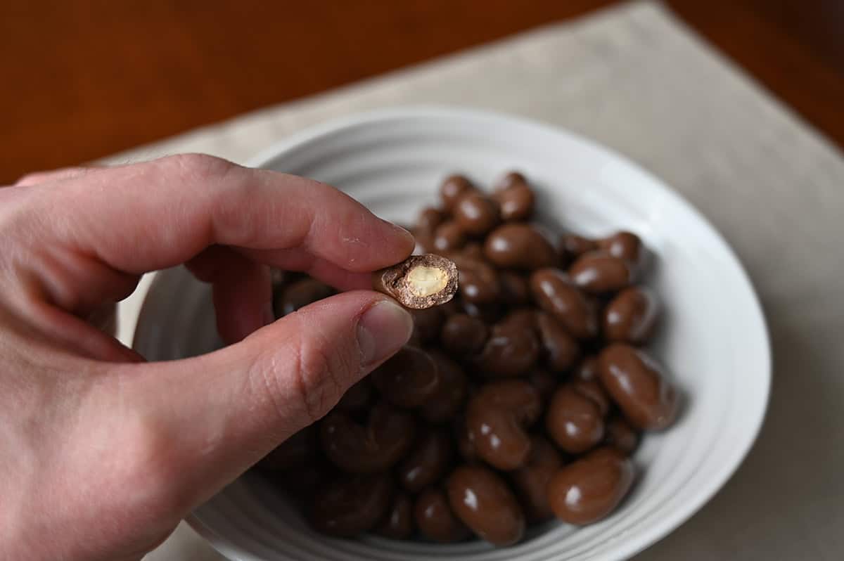 Image of a hand holding one chocolate covered cashew with a bite taken out of it so you can see the nut inside the middle.