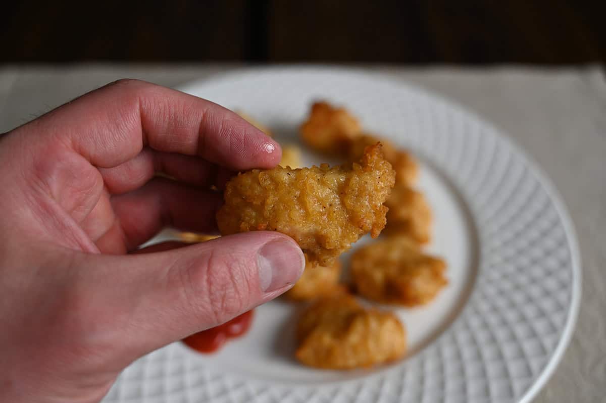 Closeup image of a hand holding one breaded chicken breast chunk close to the camera.