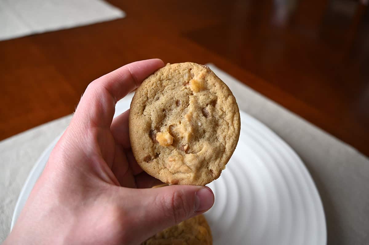 Closeup image of a hand holding one cookie close to the camera.