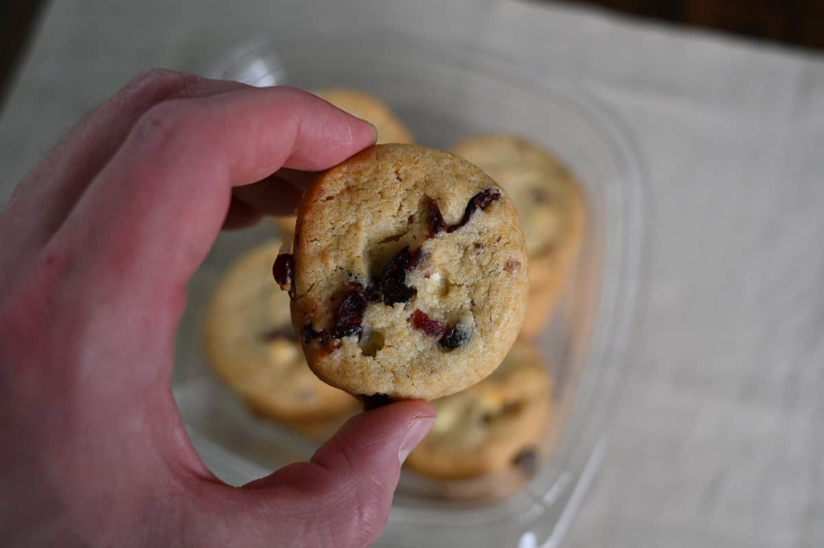 Closeup image of a hand holding one white chocolate cranberry cookie over a container of cookies.