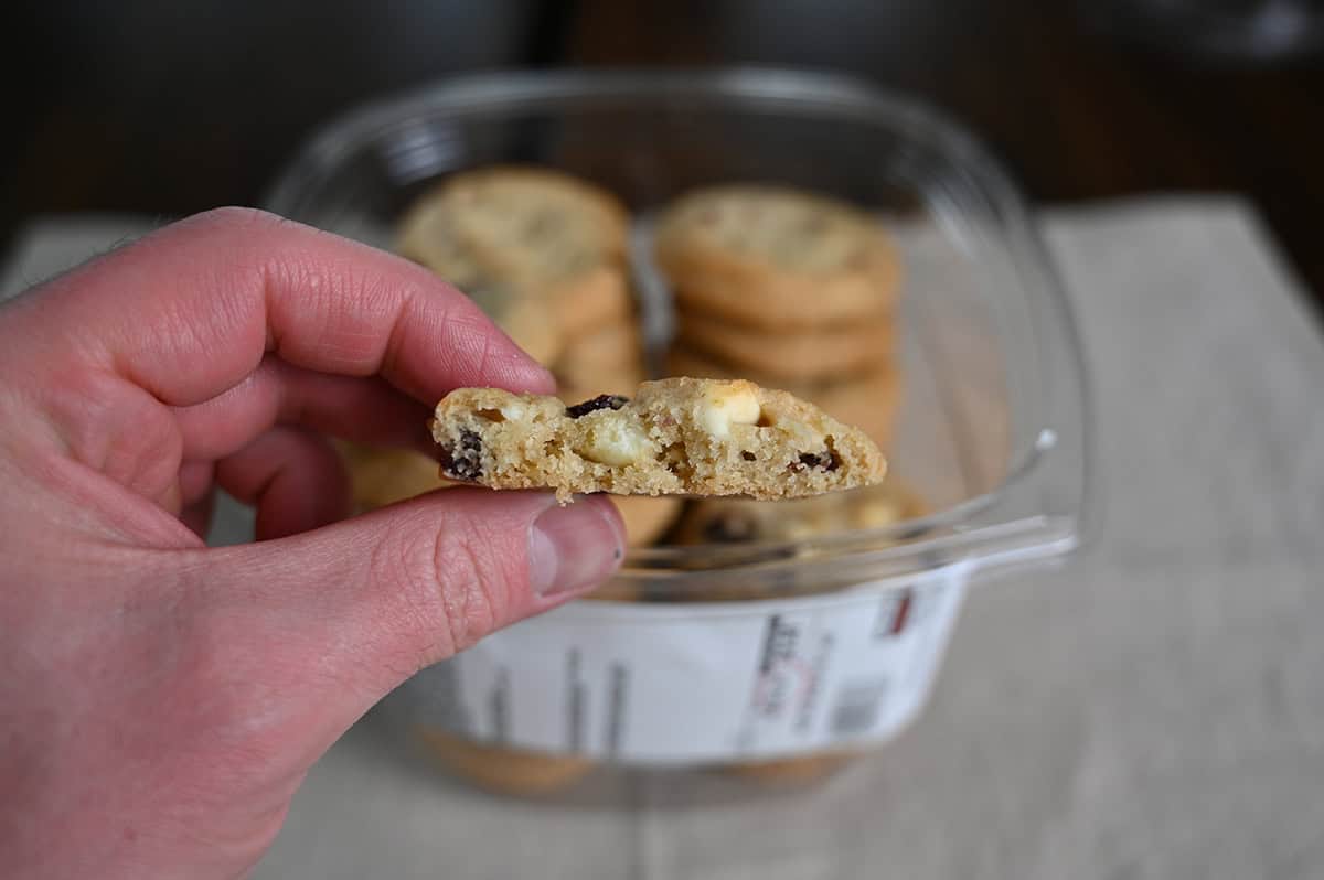 Closeup image of a hand holding one white chocolate cranberry cookie close to the camera with a bite taken out of it so you can see the middle of the cookie.