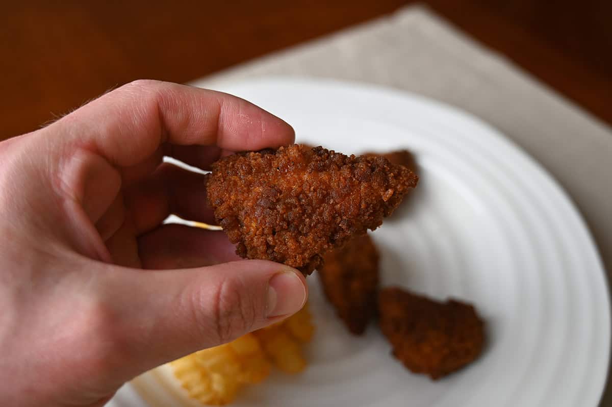 Closeup image of a hand holding one cooked chicken tender close to the camera.