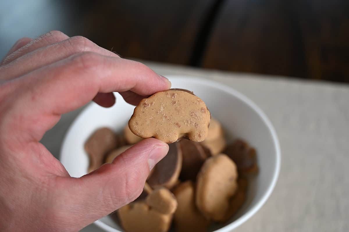 Closeup image of a hand holding one animal cracker close to the camera.