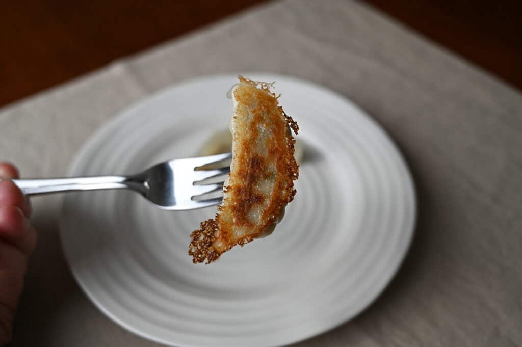 Closeup image of a fork with one gyoza on it.