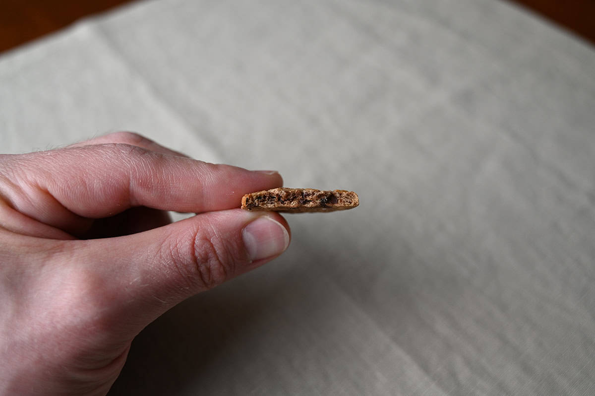 Image of a hand holding one single cookie on its side close to the camera so you can see how thick it is,