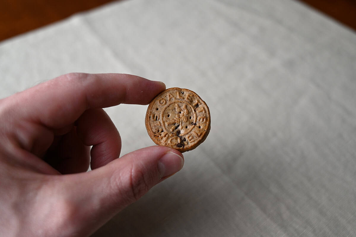 Image of a hand holding one single cookie close to the camera.