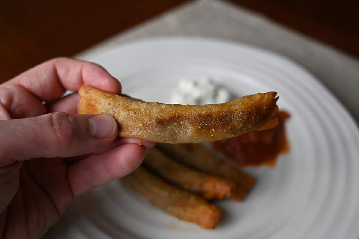 Image of a hand holding one rolled taco close to the camera.