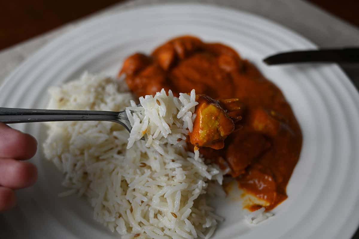 Image of a fork with rice and chicken curry on it hovering over a plate of curry and rice.