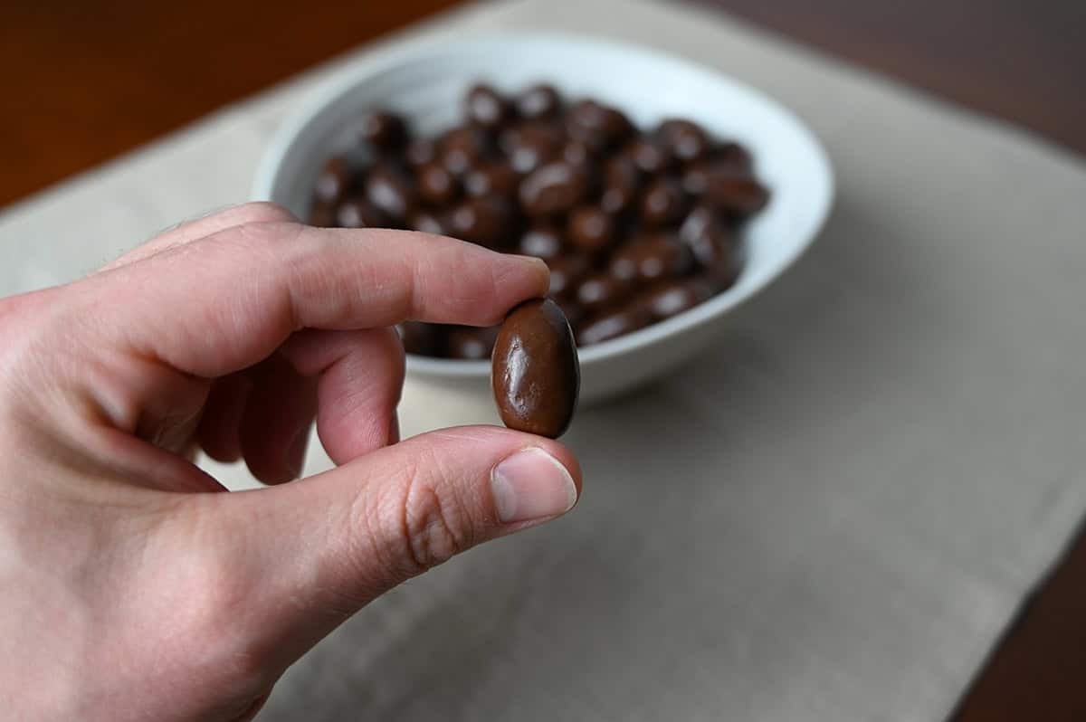 Image of a hand holding one chocolate covered almond close to the camera with a bowl of chocolate covered almonds in the background.