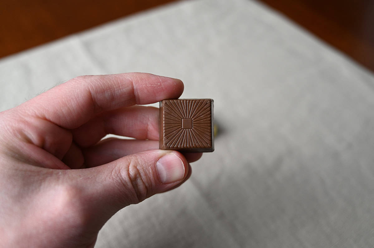 Image of a hand holding one single unwrapped icy square in front of the camera.