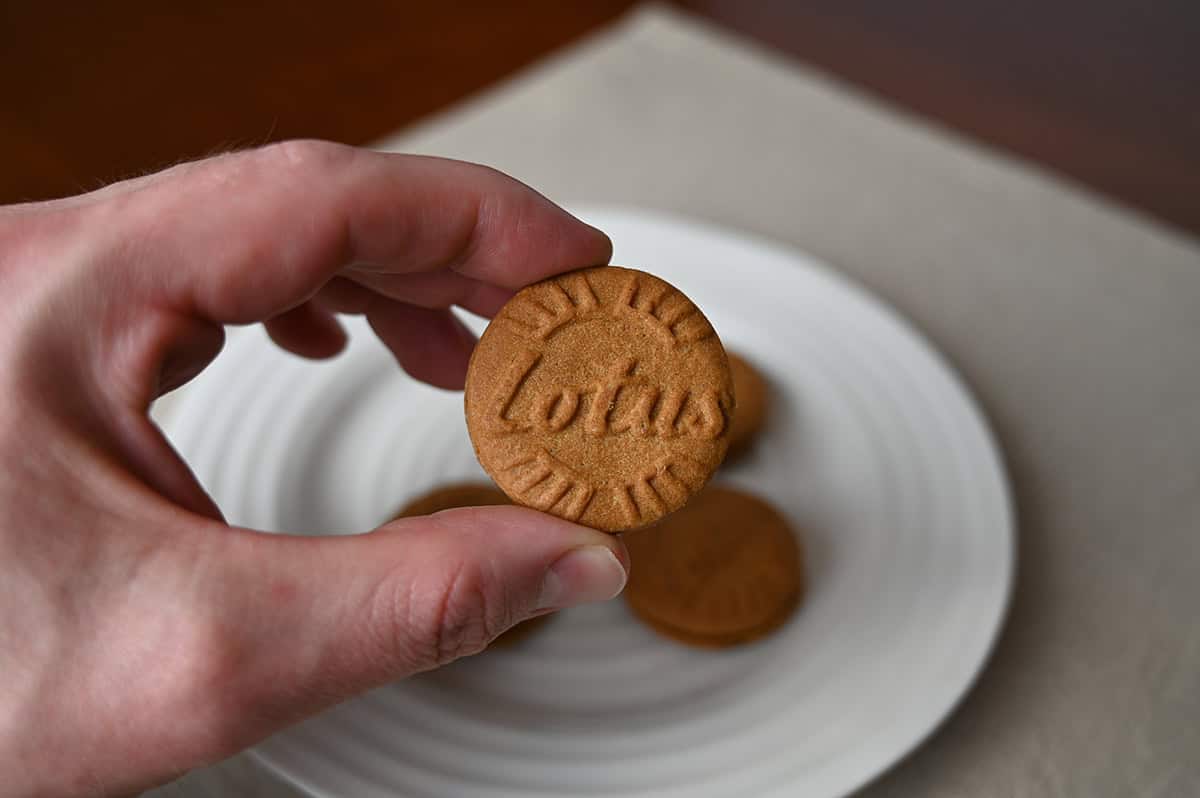 Image of a hand holding one Lotus Biscoff Sandwich Cookie close to the camera.