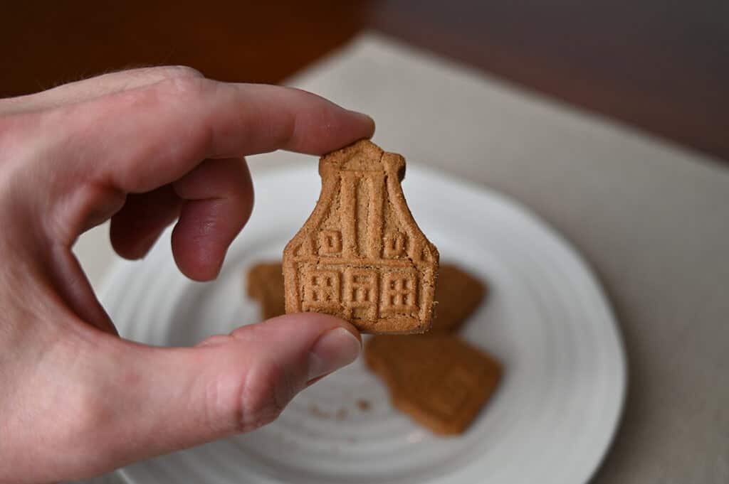 Image of a hand holding one cookie close to the camera, the cookie is shaped like a house. 