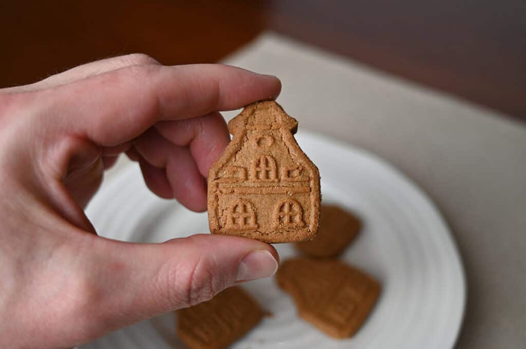 Image of a hand holding one cookie close to the camera, the cookie is shaped like a house. 