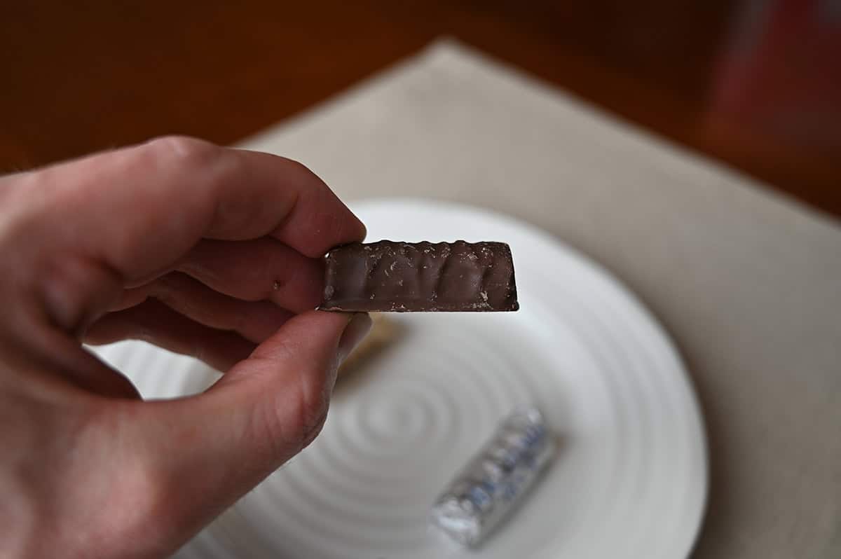 Image of a hand holding one Macadamia Roca close to the camera so you can see the shape and size.