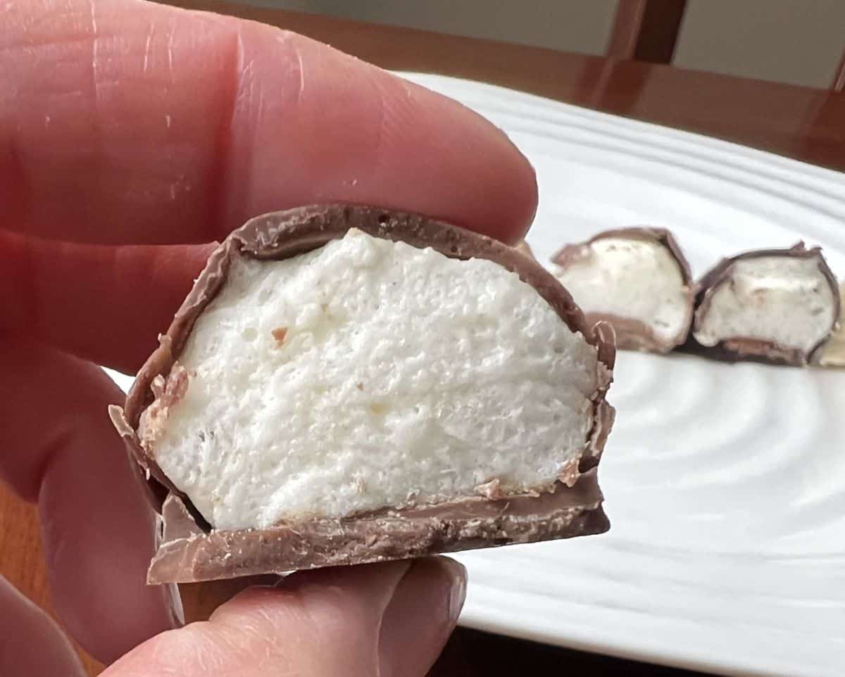 Closeup image of a hand holding a chocolate covered marshmallow with a bite taken out of it so you can see the marshmallow in the center.