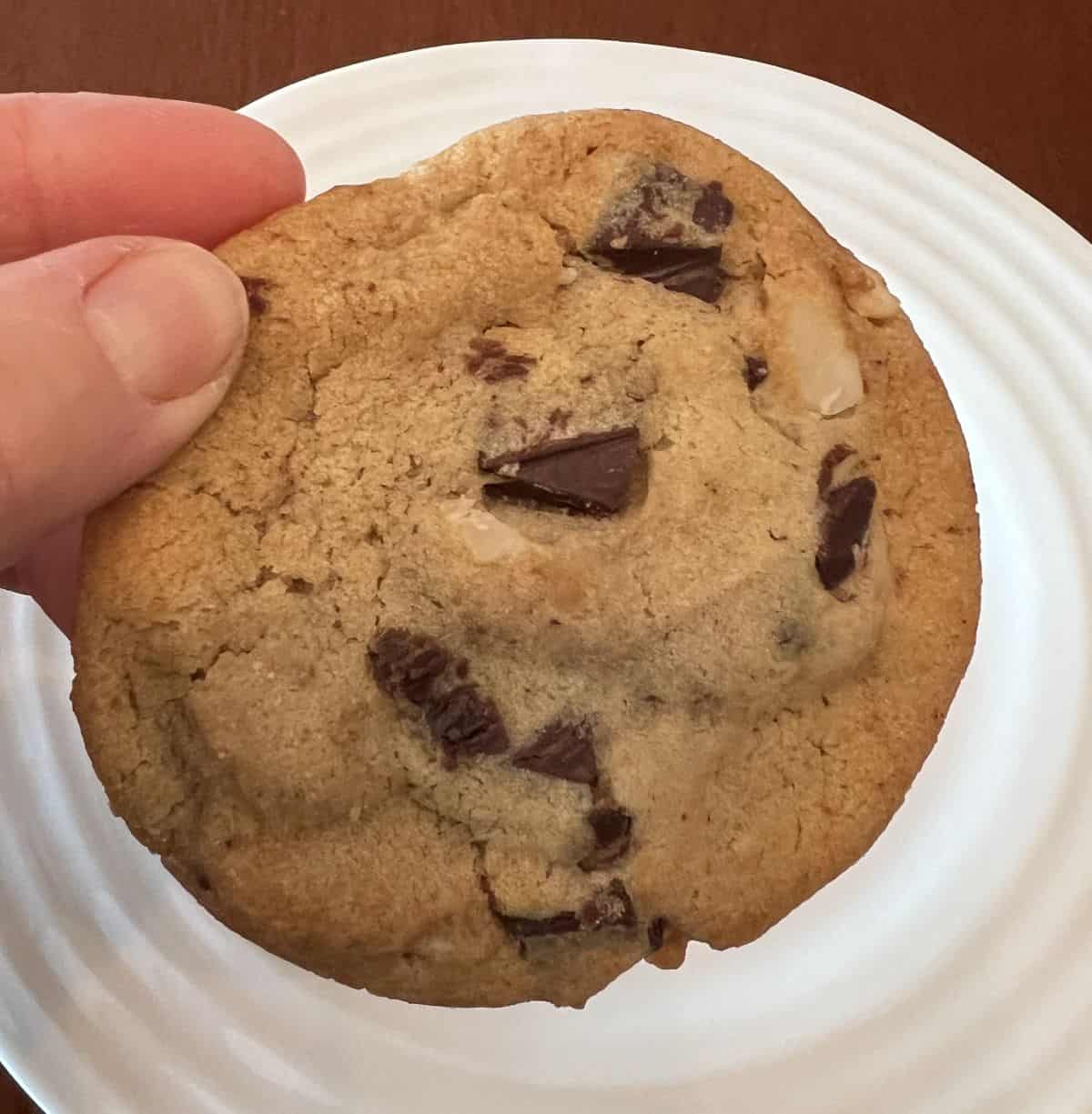 Closeup image of a hand holding one Costco Kirkland Signature Chocolate Chunk Macadamia Nut Cookie. 