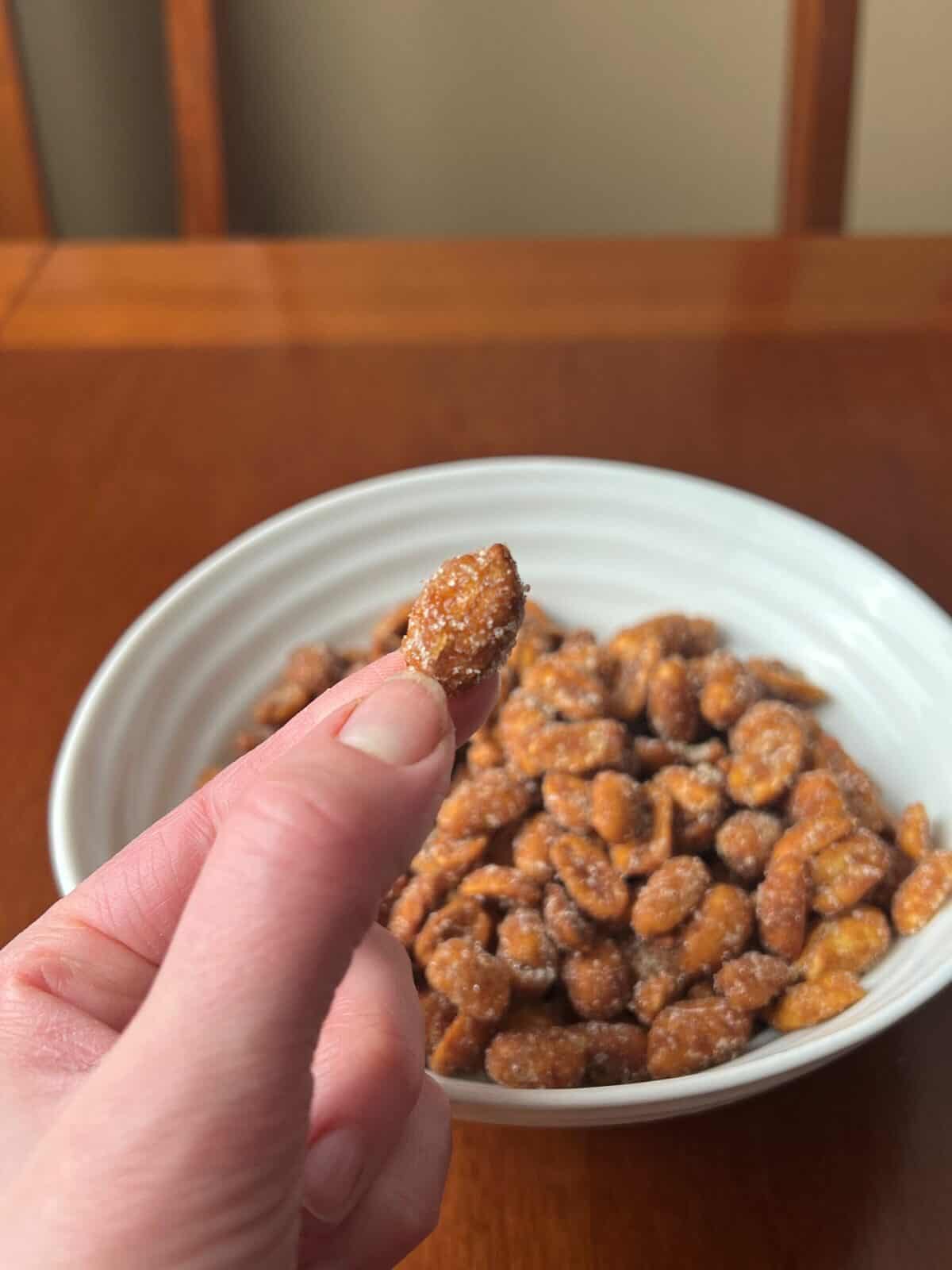 Closeup image of one honey roasted peanut being held over a bowl of peanuts.