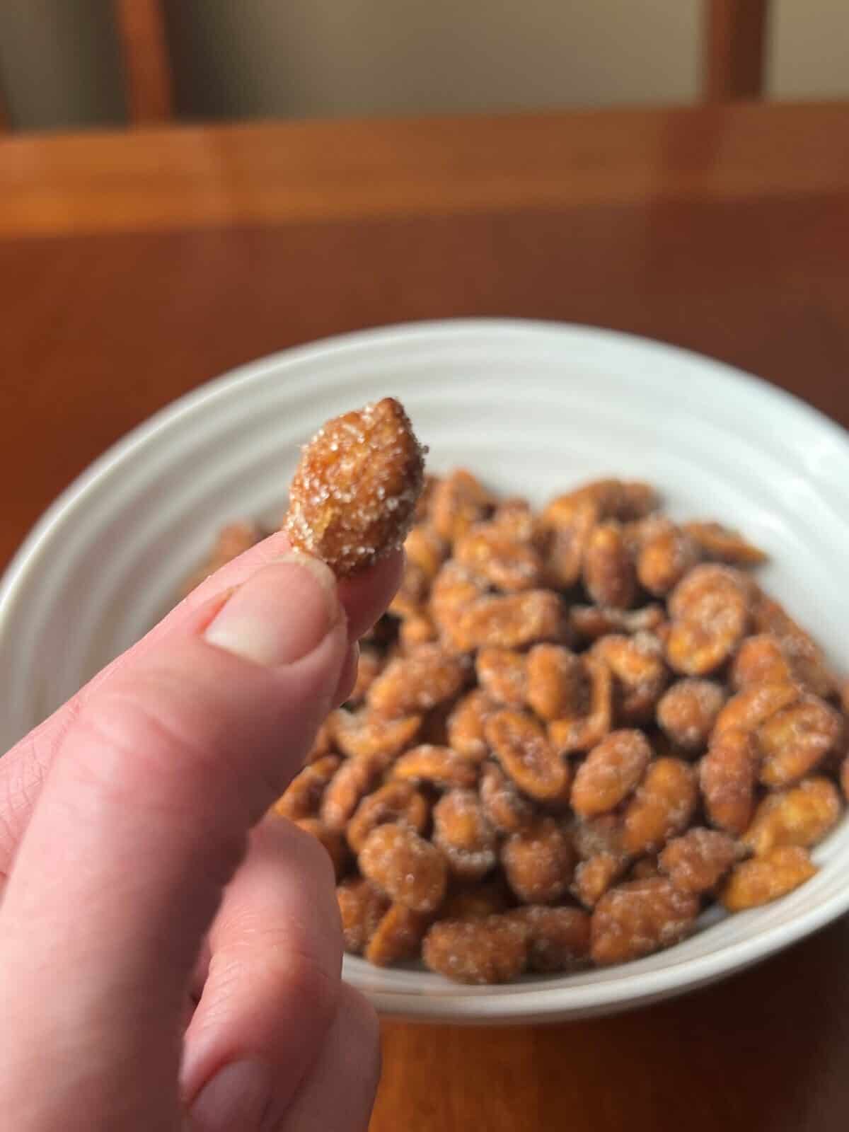 Image of a hand holding one peanut close to the camera hovering over a bowl of peanuts.