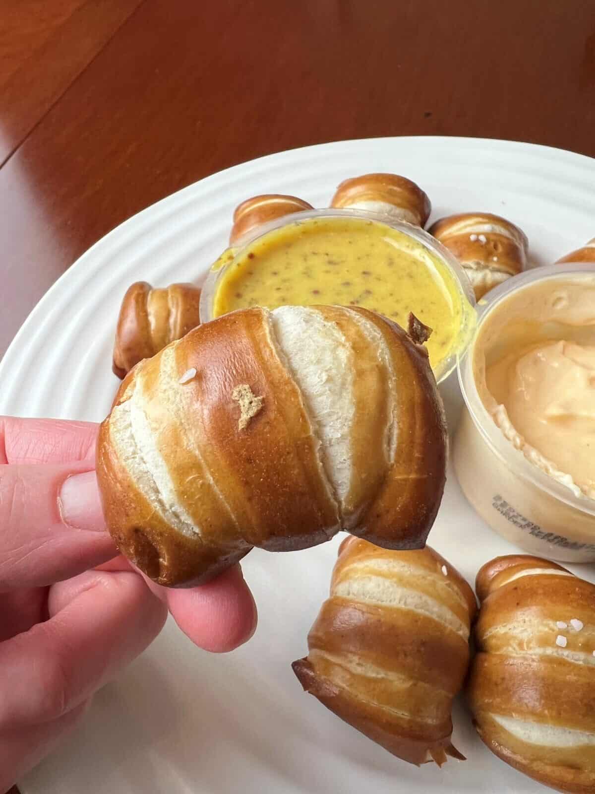 Closeup image of a hand holding one pretzel bite close to the camera hovering over a plate of pretzel bites.